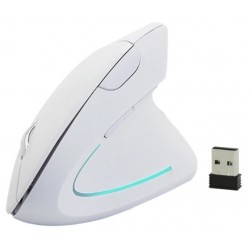 White ergonomic wireless USB mouse - DANBIT