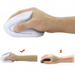 White ergonomic wireless USB mouse - DANBIT