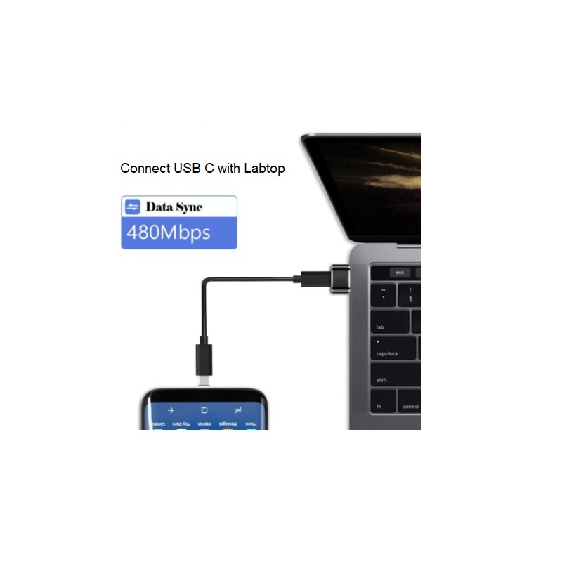 USB 3.0 Male to USB 3.1 C Female - OTG Adapter