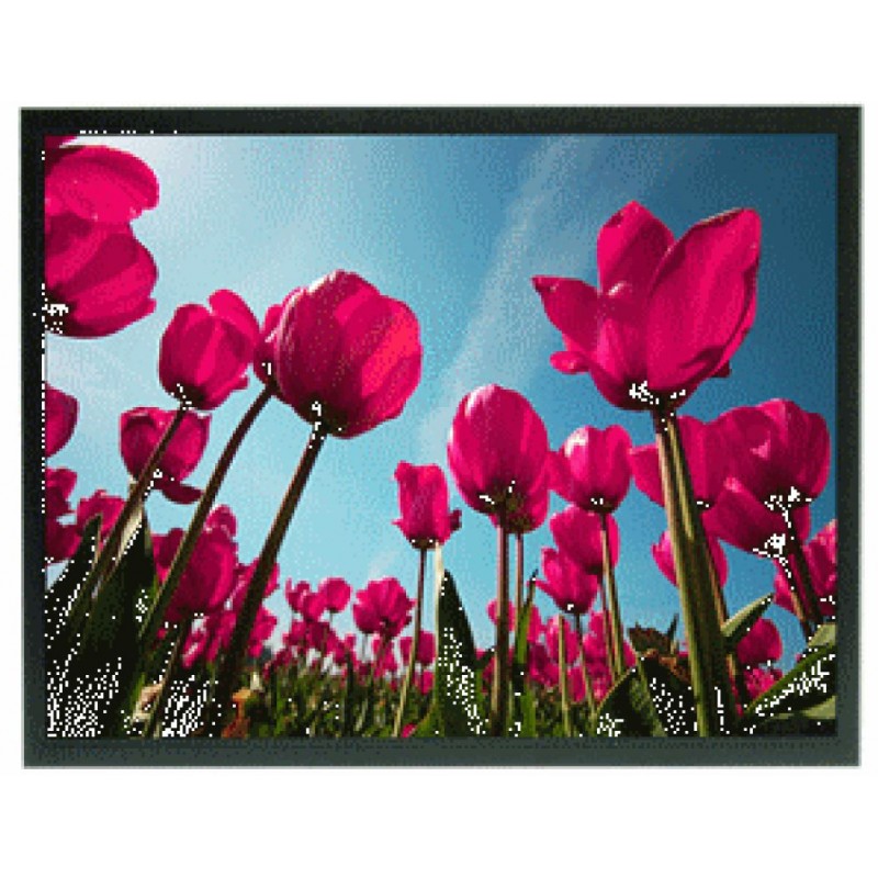 17" Sunlight Readable TFT Display - Low Power & High Def