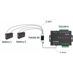 2 x Analog input module, 0-60V, 16bit resolution, 1-wire interface