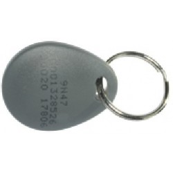 RFID TAG 125kHz EM pendant for key ring