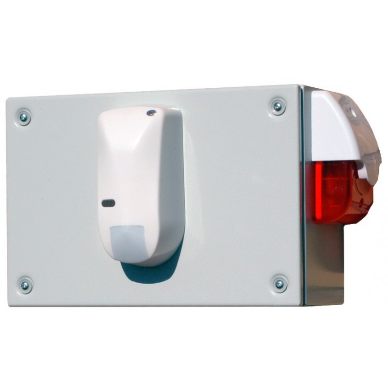 Theft and surveillance system for storage space