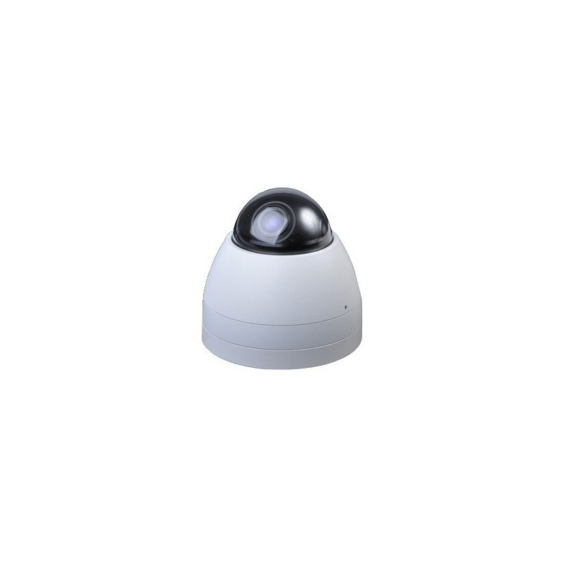 Outdoor 1MP IP Dome Camera with IR, with composite video out