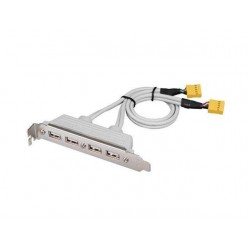 Back plate with 4 USB female connectors & cable with 2 x 9-pin connectors.